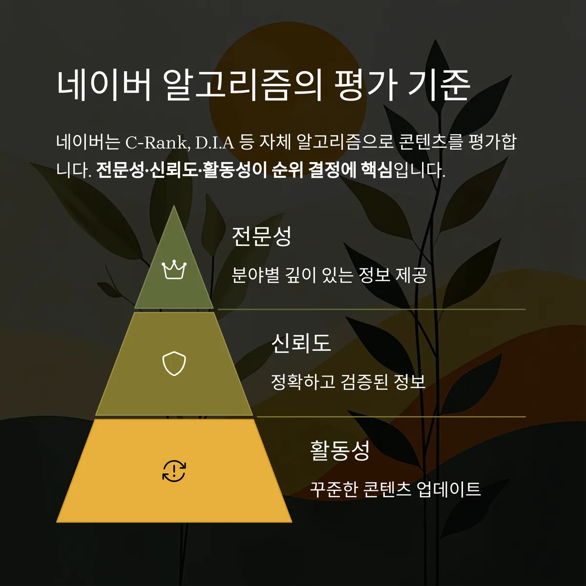 네이버 알고리즘과 순위의 상관관계
