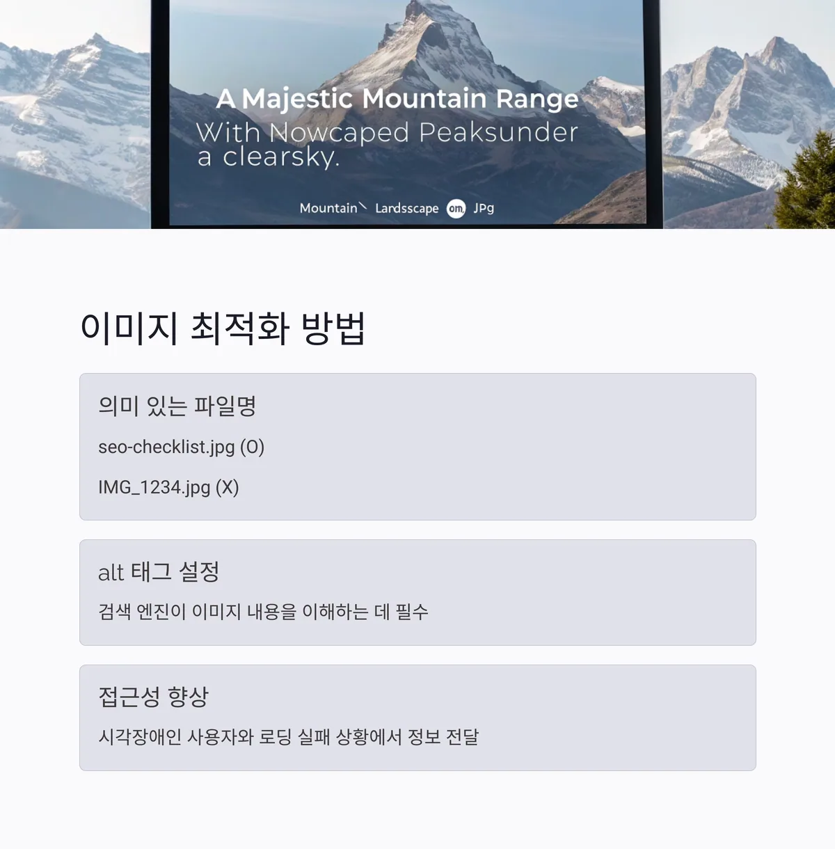 웹문서 상위 : 이미지 alt 태그 및 파일명 점검